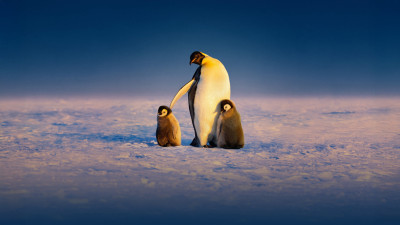 Background